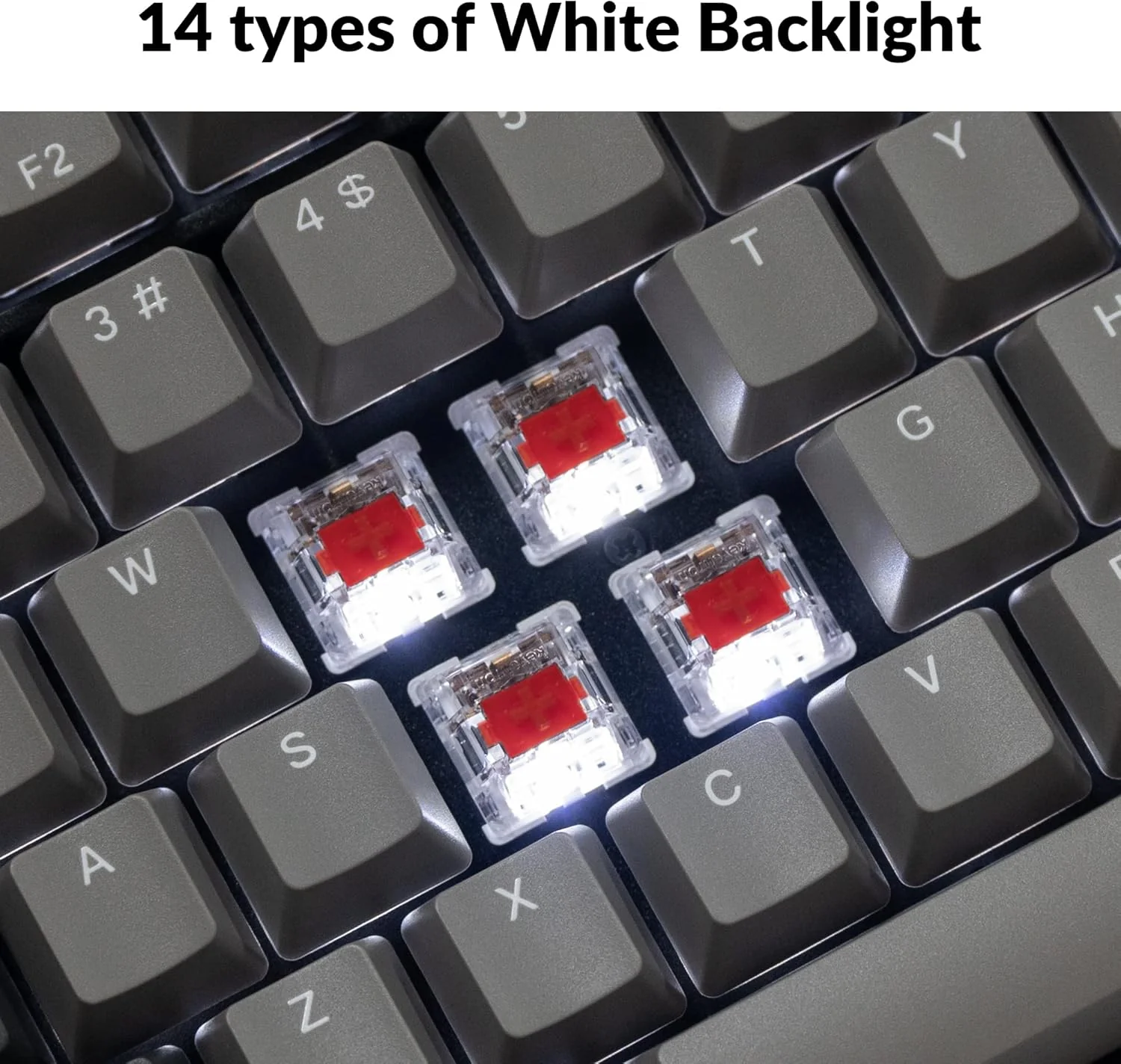 Keychron C2 Pro QMK/VIA Wired Mechanical Keyboard (Non Hot-Swappable) - Image 5